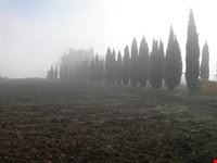 nella nebbia verso San galgano